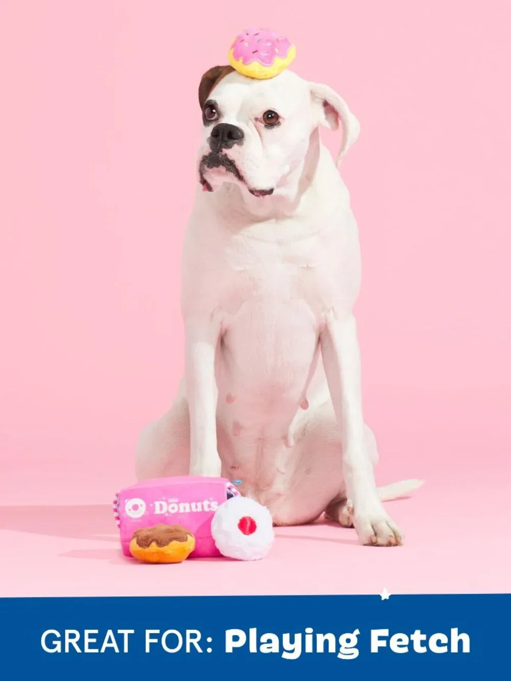 Barkbox Dog Toys  Barkers Dozen Donuts Plush 4 in 1 Multi Part Interactive Dog T
